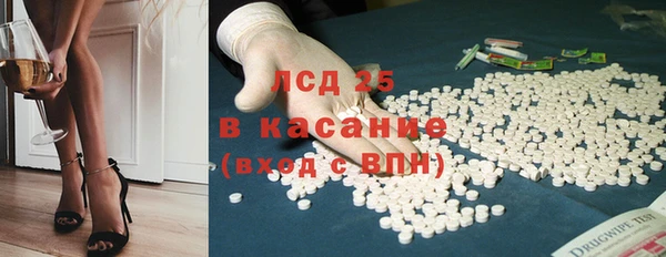 шишки Баксан